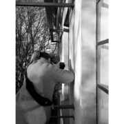 amae Shooting Making Of